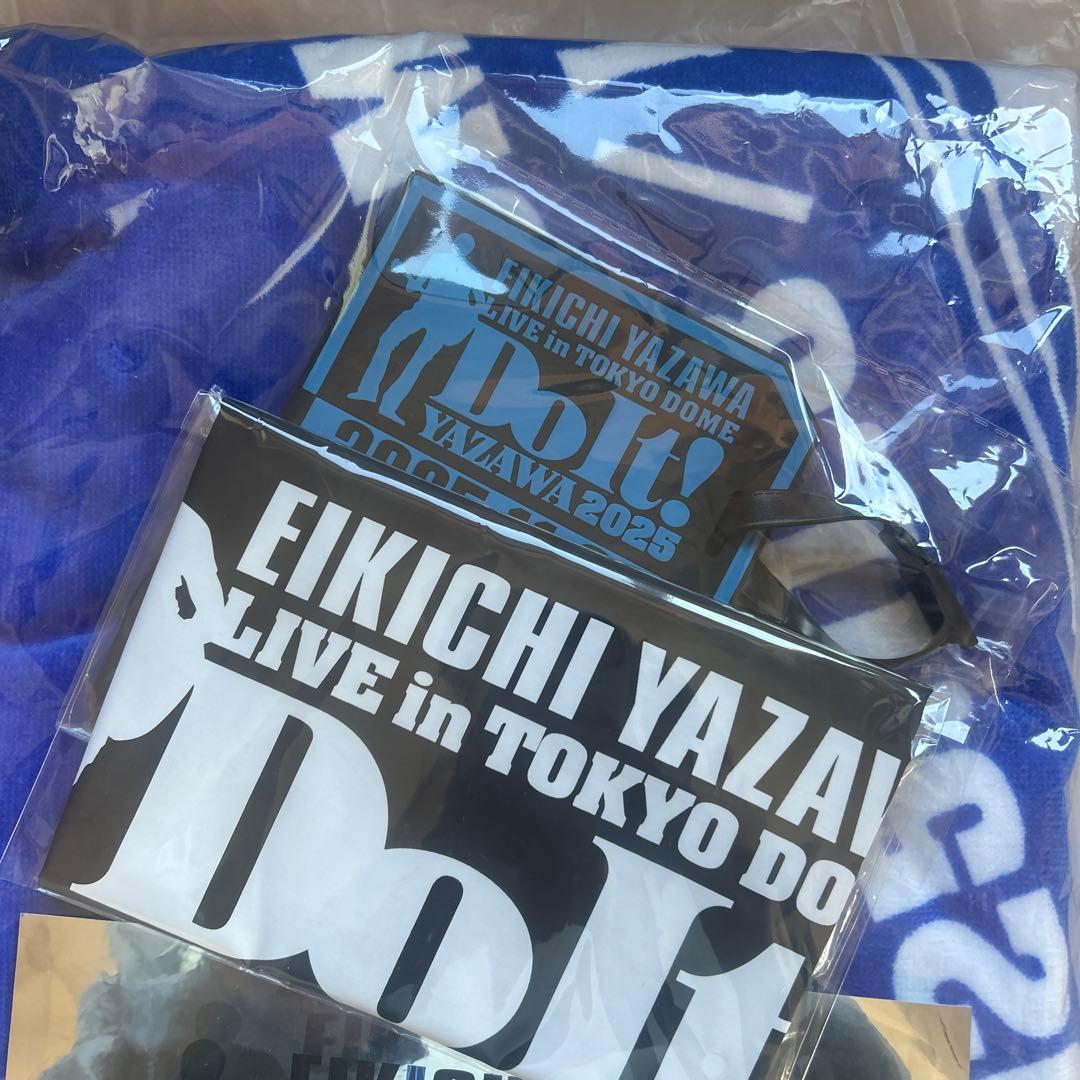EIKECHI YAZAWA LIVE in TOKYO DOME タオル