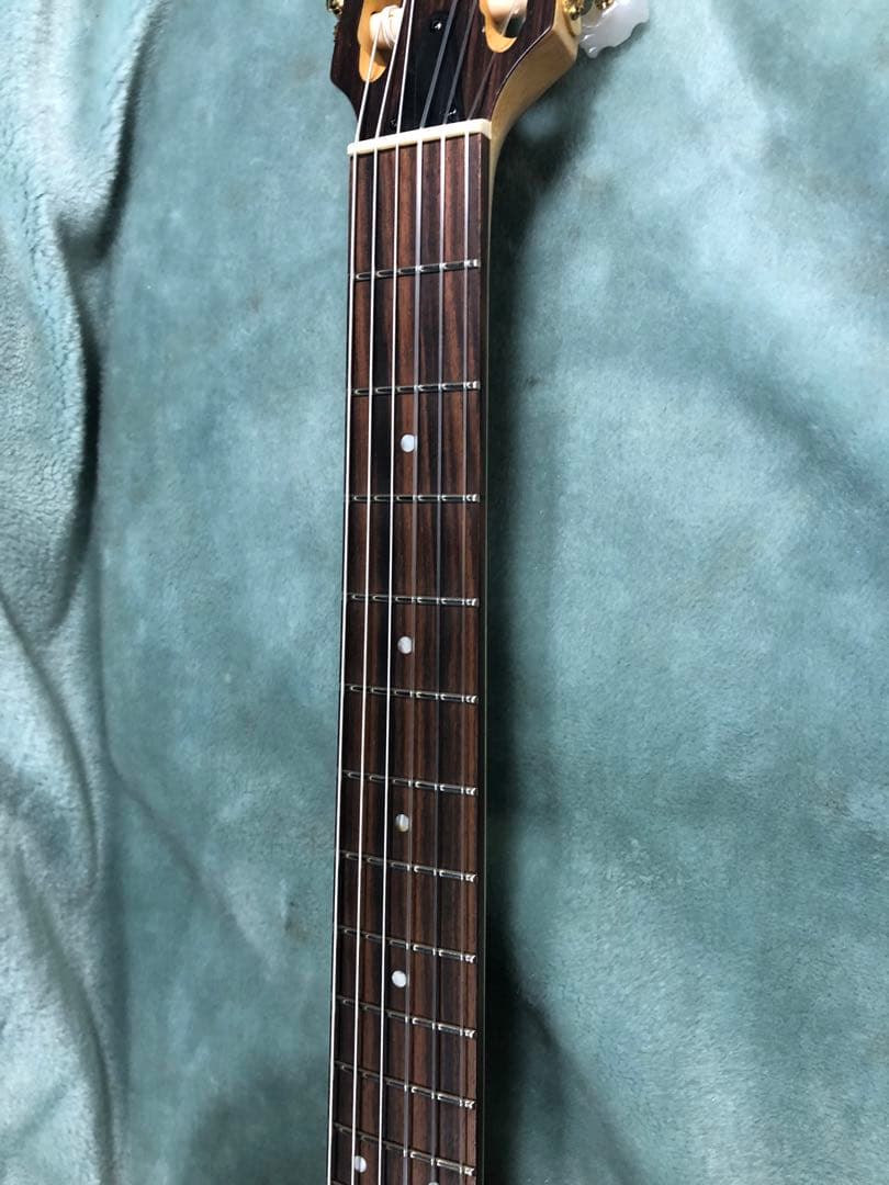 M*9様 ヤマハ　AEX500N エレガット