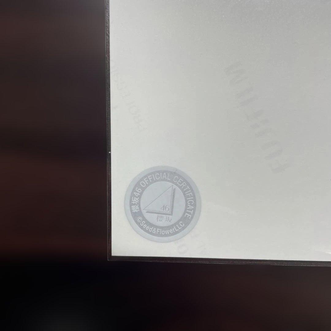 櫻坂46 山下瞳月　2025年サンタ衣装　ヒキ　直筆サイン入り生写真