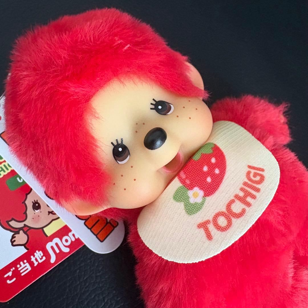 新品 モンチッチ 栃木 あしかがフラワーパーク ご当地 キーホルダー 2個セット