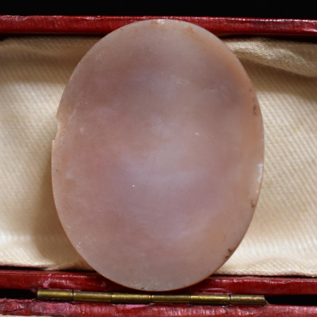 アンティーク 女神ヘラのシェルカメオルース/裸石 ヴィクトリア中期ごろ