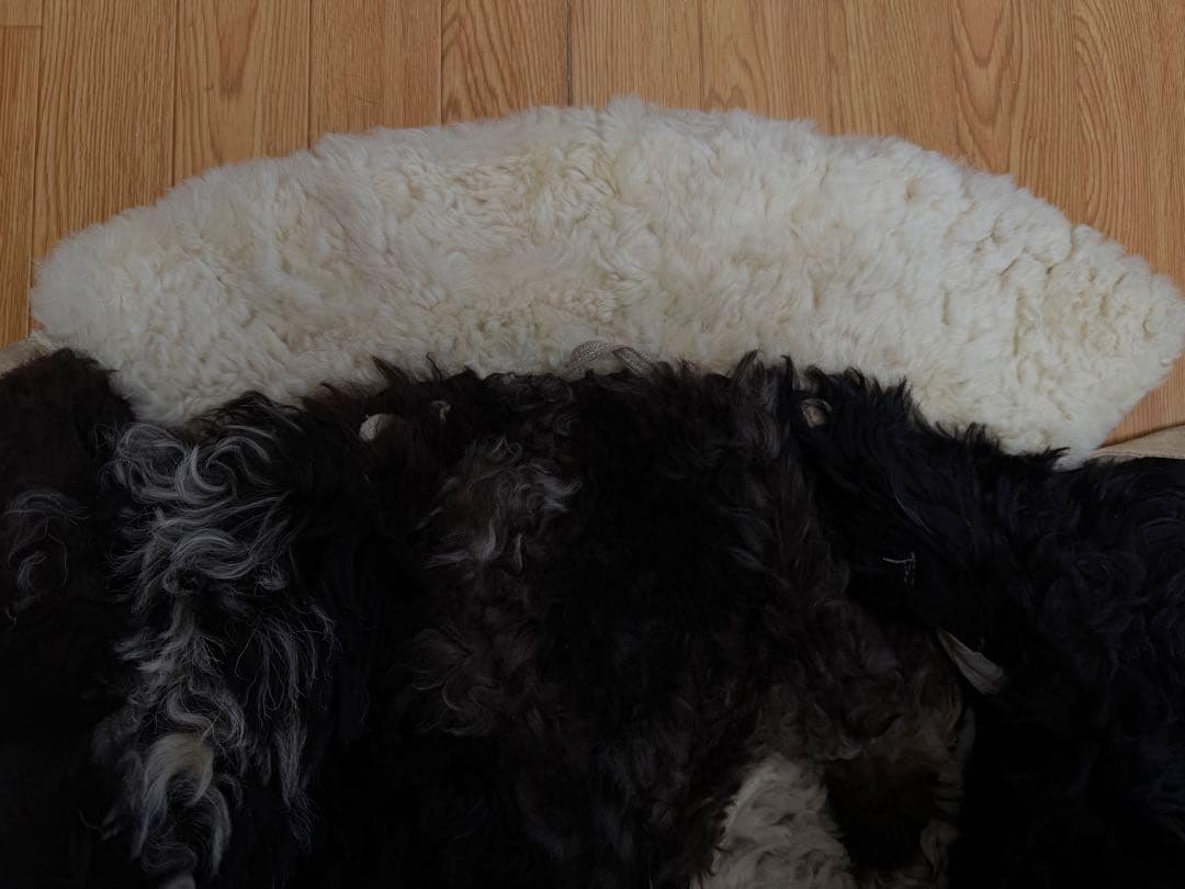 ソ連軍 実物 シープスキンコート бекеша