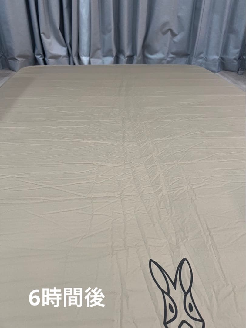 DOD マット ソトネノキワミＬ