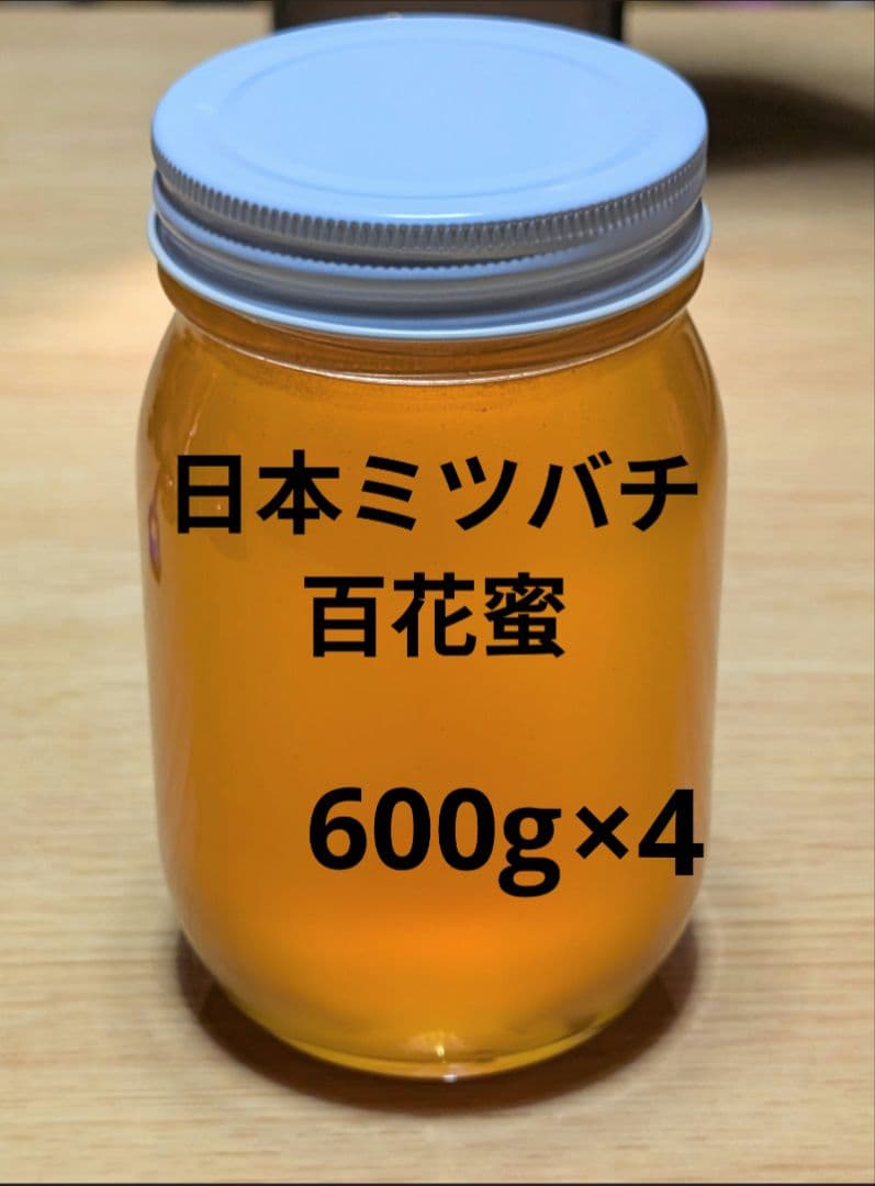 ニホンミツバチの蜂蜜　ハッチ