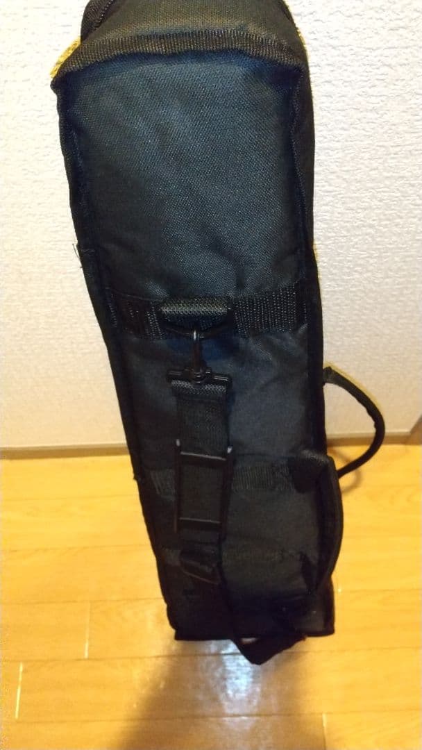 早い者勝ち！！Rogueラップスチールギター