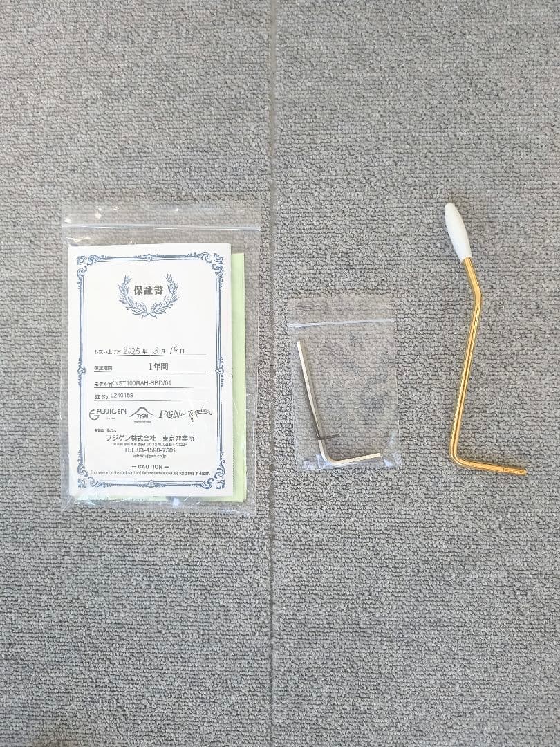 FUJIGEN　ストラトキャスター