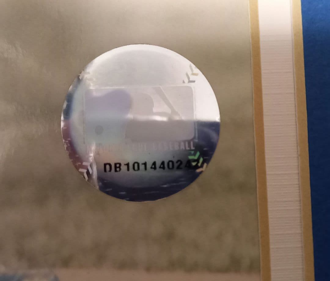 MLB、直筆サイン、石井一久、ルーキーイヤー記念パネル、限定商品シリアルナンバー