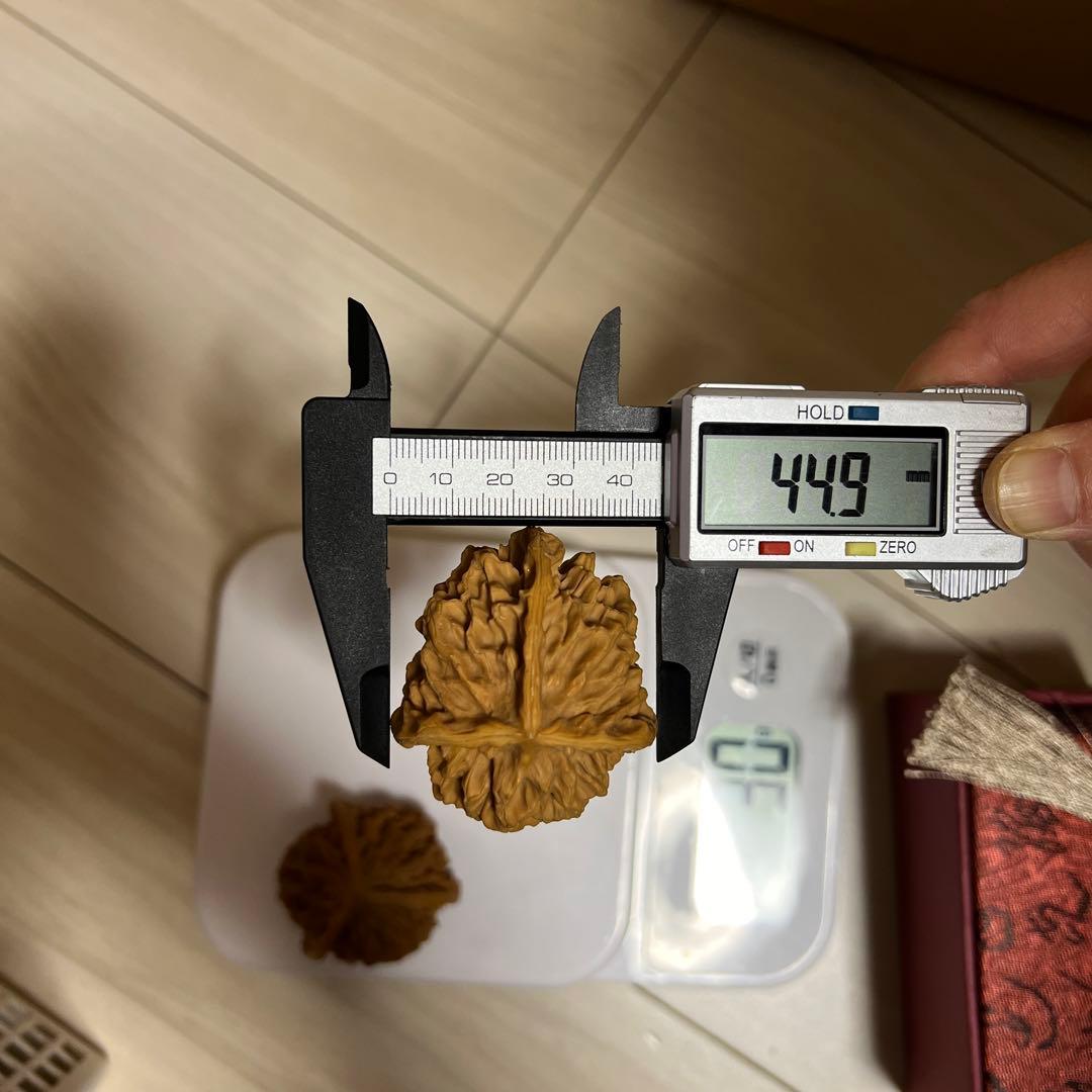 遊び胡桃 希少 帝王帽3ムキ コレクション 趣味