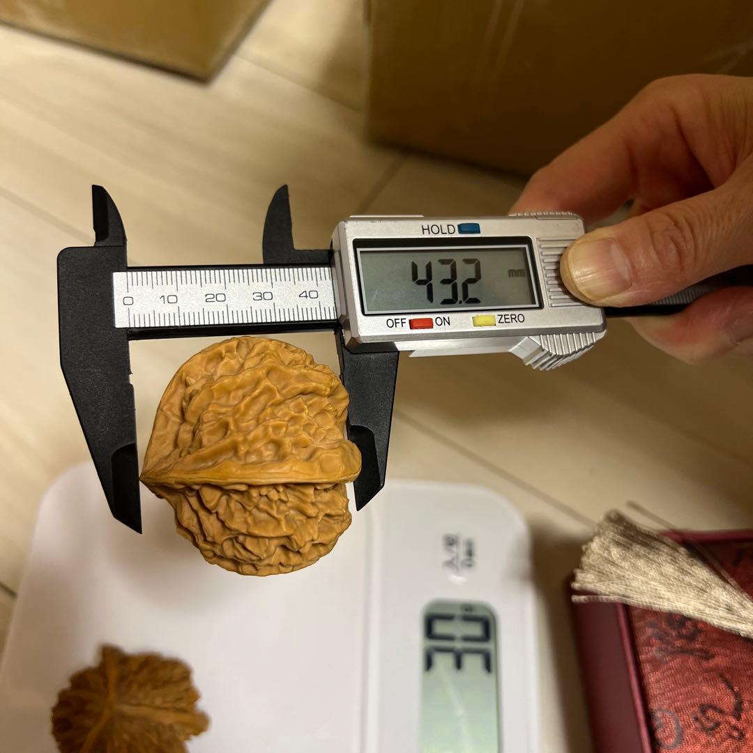 遊び胡桃 希少 帝王帽3ムキ コレクション 趣味