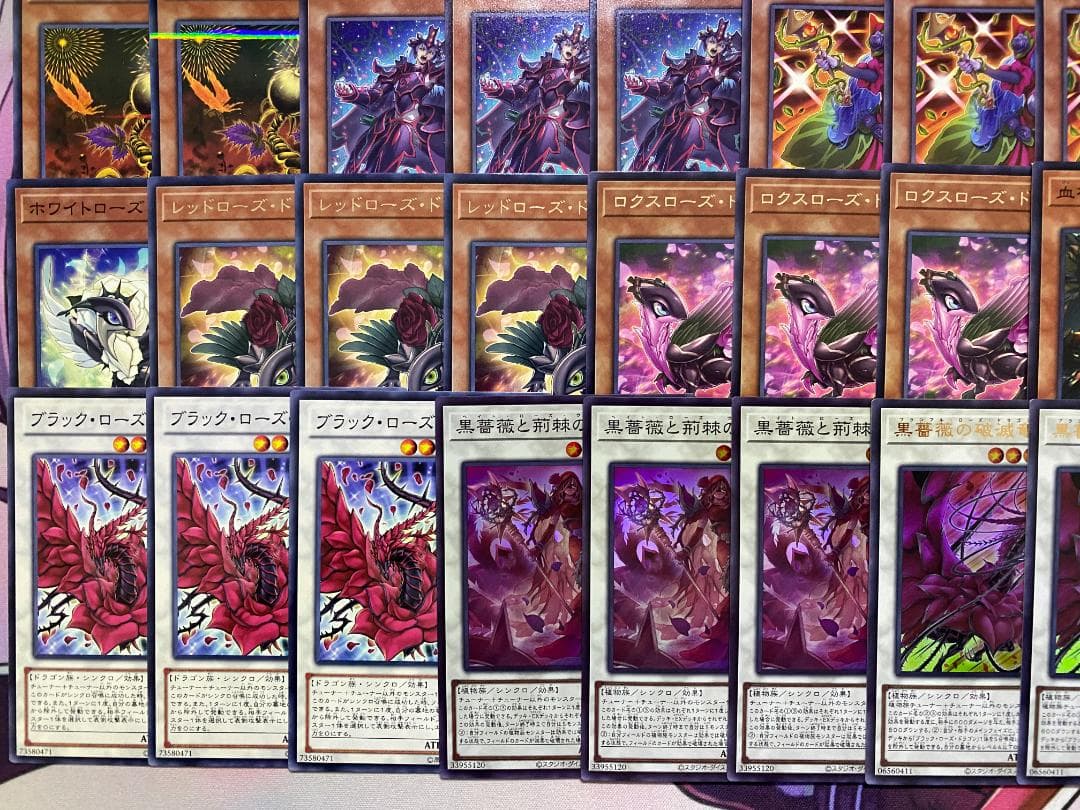 003　遊戯王　ローズ・ドラゴン　大会構築デッキ