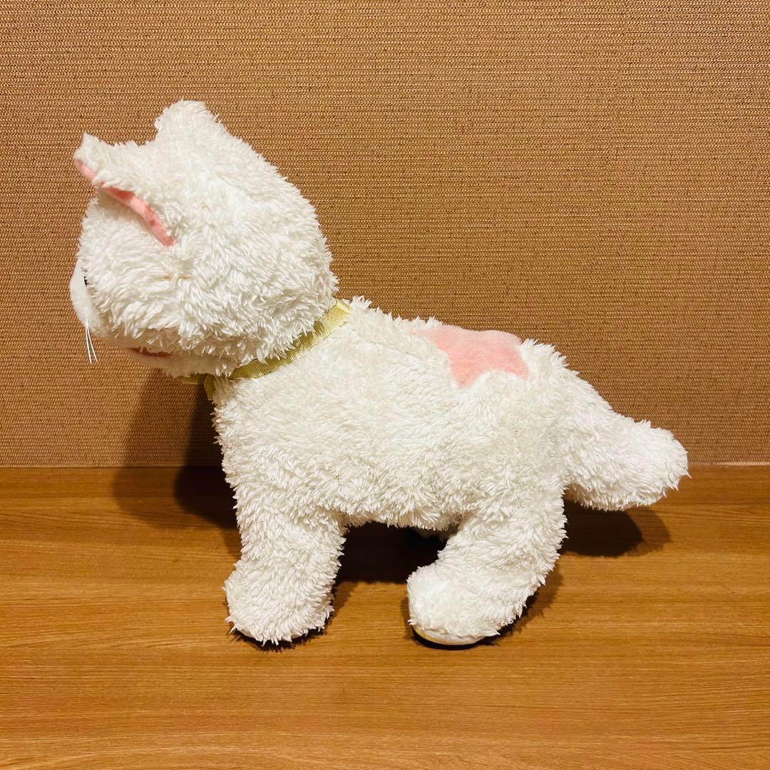 うちのヒロインキャット　さかだちニャッチー