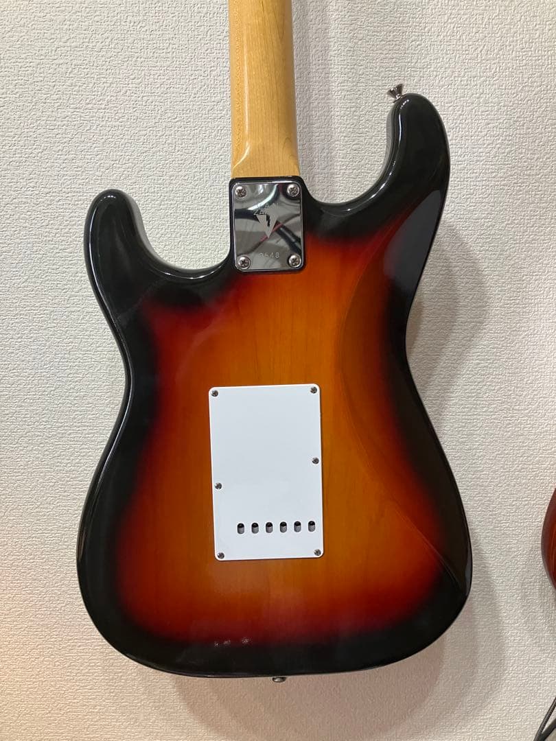 ハカランダ指板Vanzandt STV-R2J fender