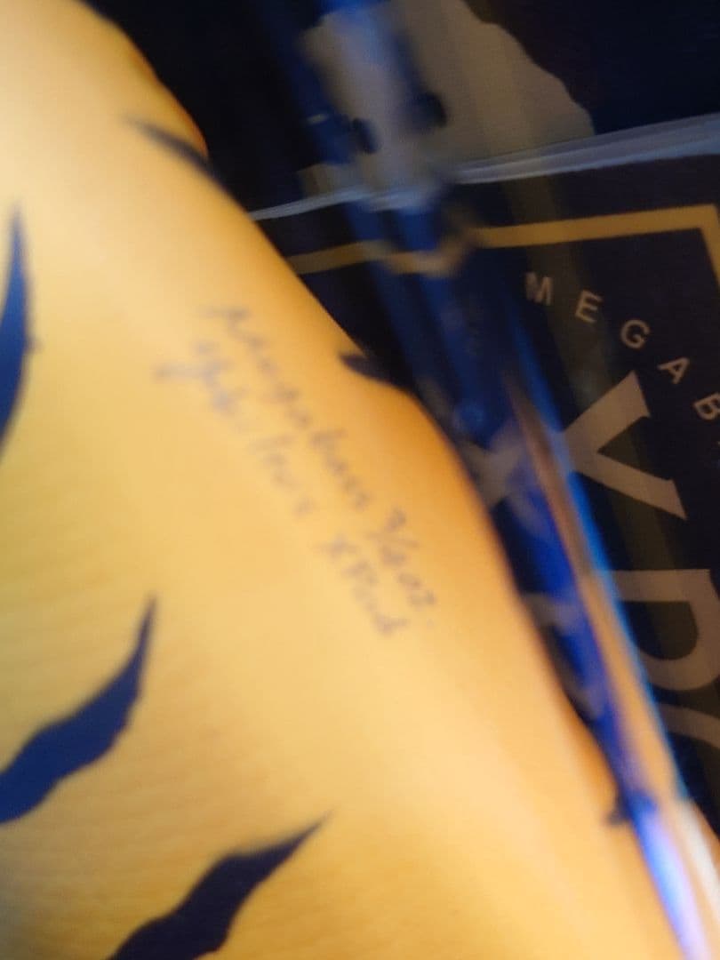 メガバス エックスポッド SP-C 干支 '10寅 チャートタイガー 新品未開封