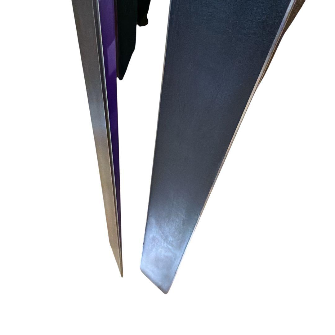 Hart Infinity G W杯 183 上級者 技術選 大会用