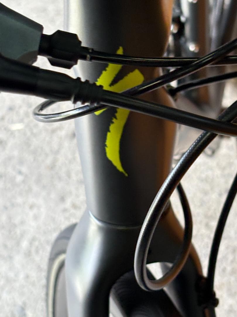 Specialized Sirrus Comp Carbon Disc（未使用）