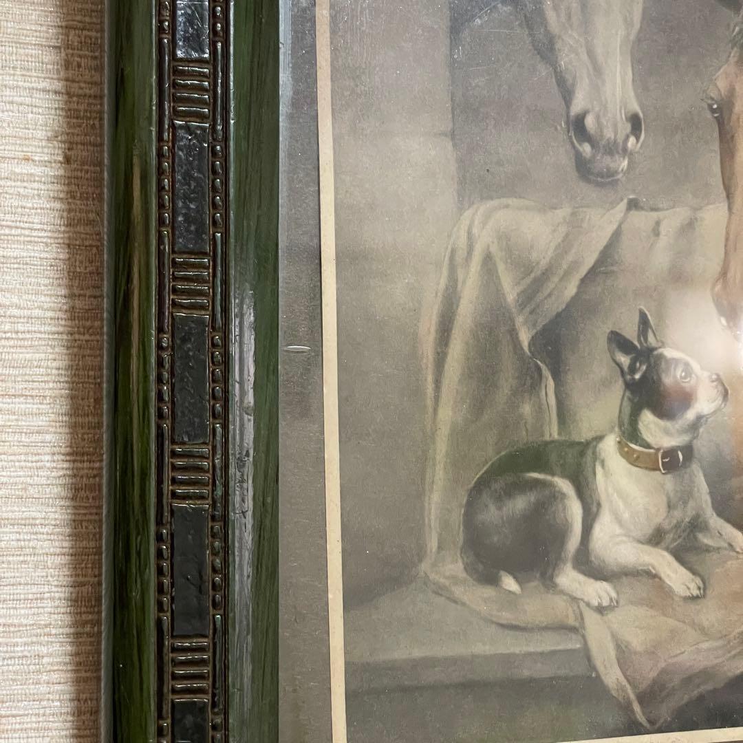 イギリス 動物 銅版画 カラー 約27cm x 28.8cm アンティーク