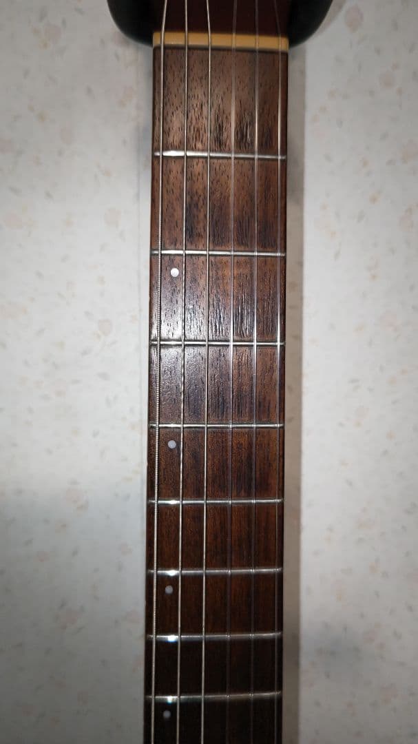 Multiac Nylon Encore アコースティックギター