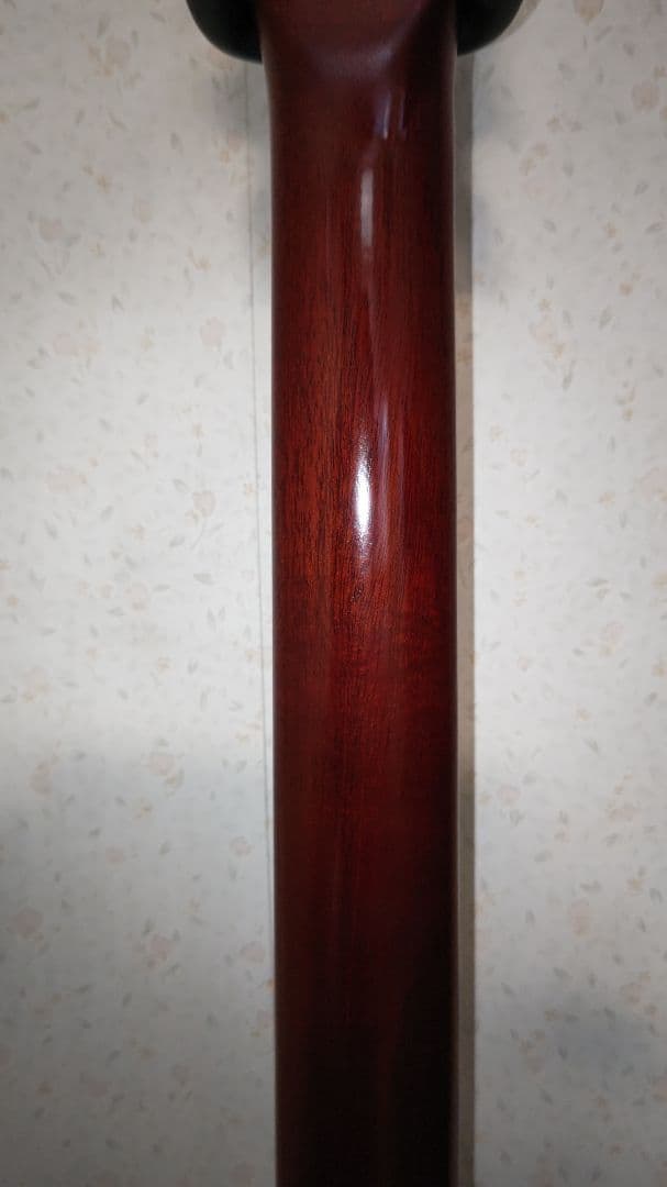 Multiac Nylon Encore アコースティックギター