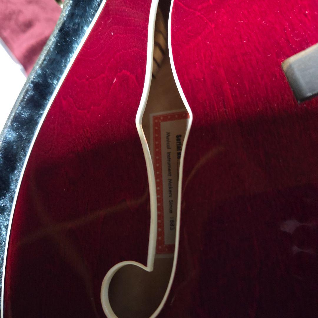 びわ　グレッチ 6119 ヴィブラメイトスポイラー付