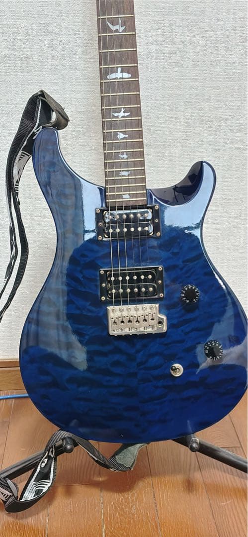 PRS SE Custom24 エレキギター (ストラップ、シールド付き)