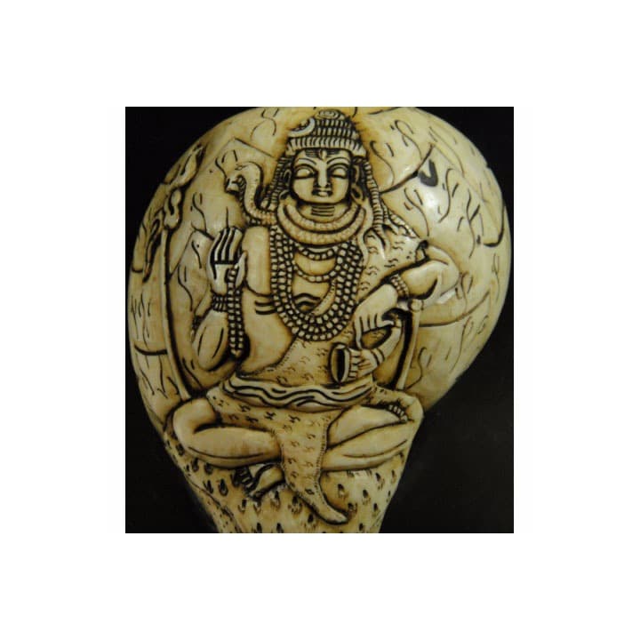 ◆チベット密教法具　法螺貝（シャンカ）シバ神