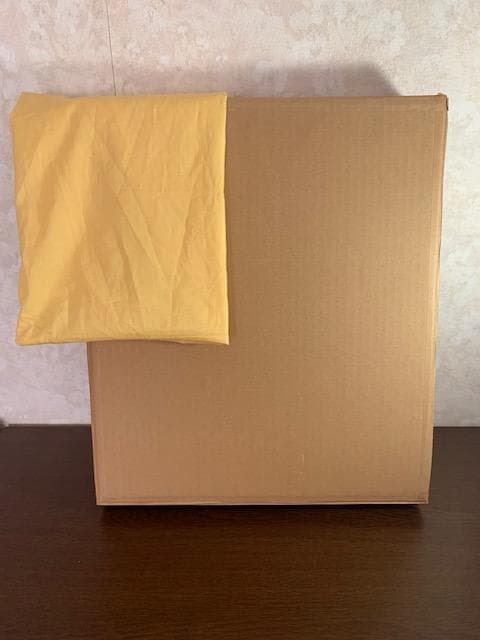 美術館収蔵画家❣️物故・佐藤真一◆行動美術協会◆油彩ＳＭ◆評価 １７万円／号