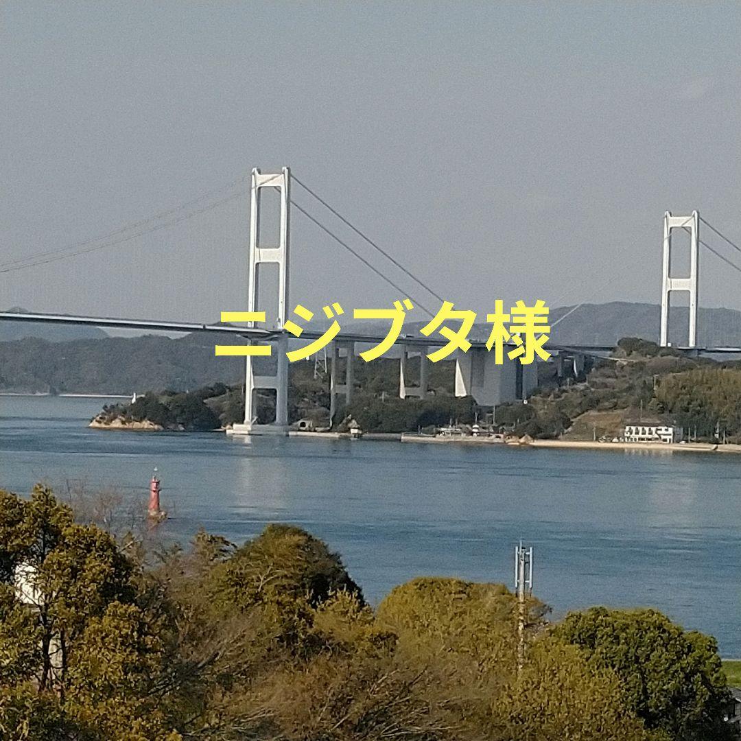 ニジブタ　　璃の香レモン