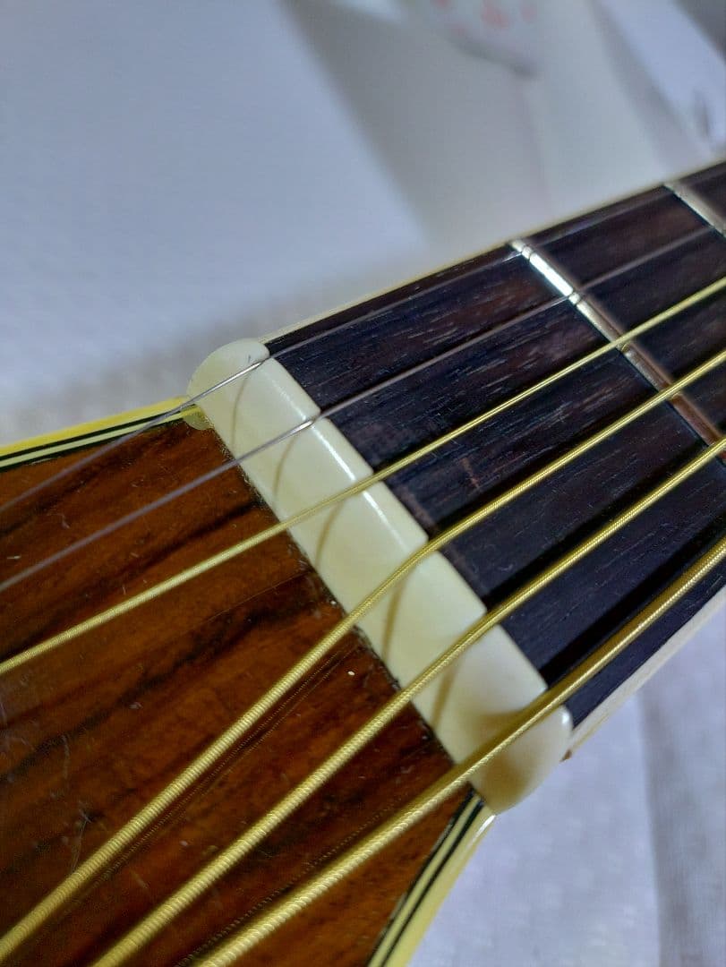 MORRIS 　SPECIAL 　TF - 50 　　ハードケース付属