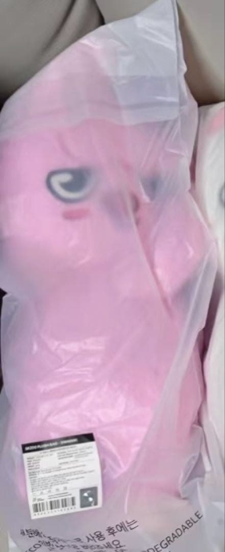 StrayKids SKZOO PLUSH BAG DWAEKKI ポップアップ