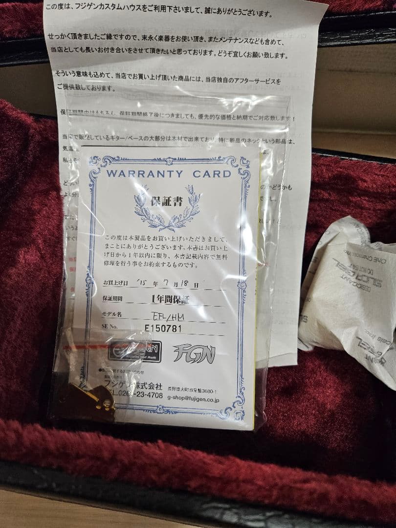 ギター FUJIGEN / Expert FLAME(EFL)