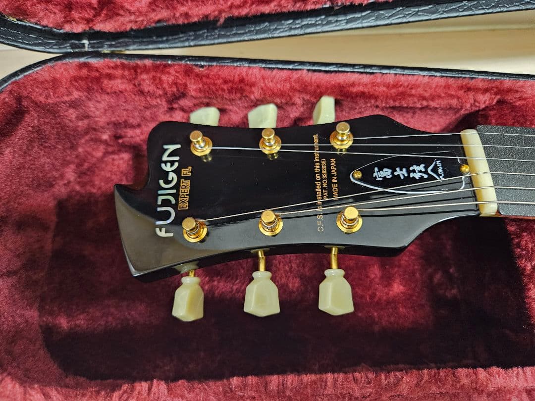 ギター FUJIGEN / Expert FLAME(EFL)