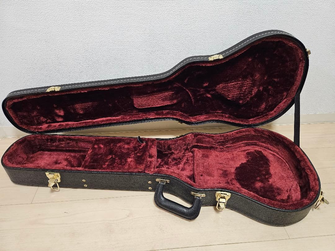 ギター FUJIGEN / Expert FLAME(EFL)