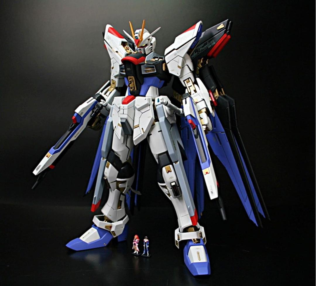 完全改修★ MG1/100 ZGMF-X20Aストライクフリーダム完成品