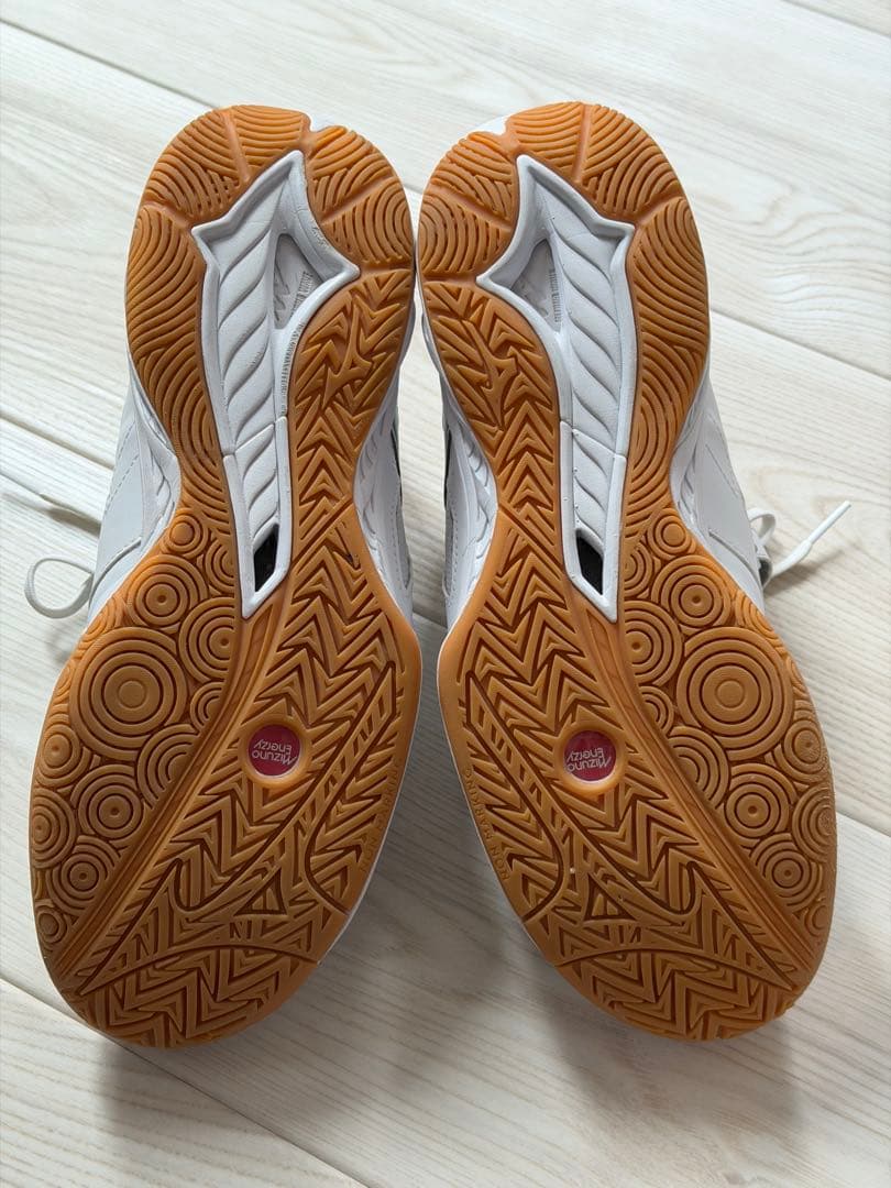 ミズノ バドミントンシューズ ウェーブファングST 26.5cm 3E