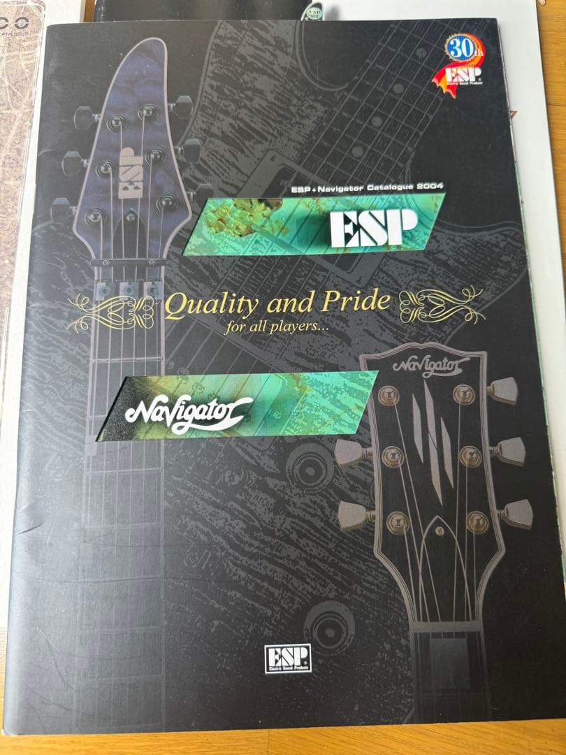 ⭐︎超絶お宝⭐︎ESP⭐︎Ninja マイケルアモットが2002年公演で使用したギター