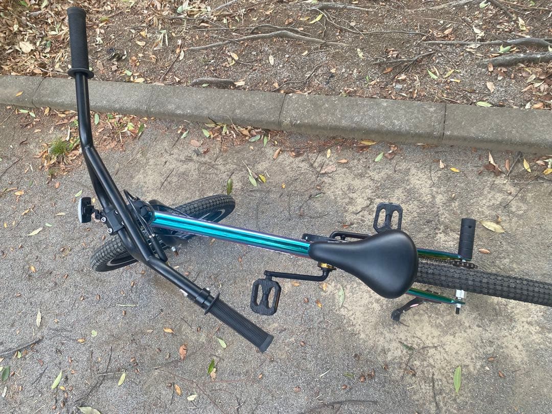 BMX レインボー マルチカラーバイク 20インチ 子供用 大人用 本体