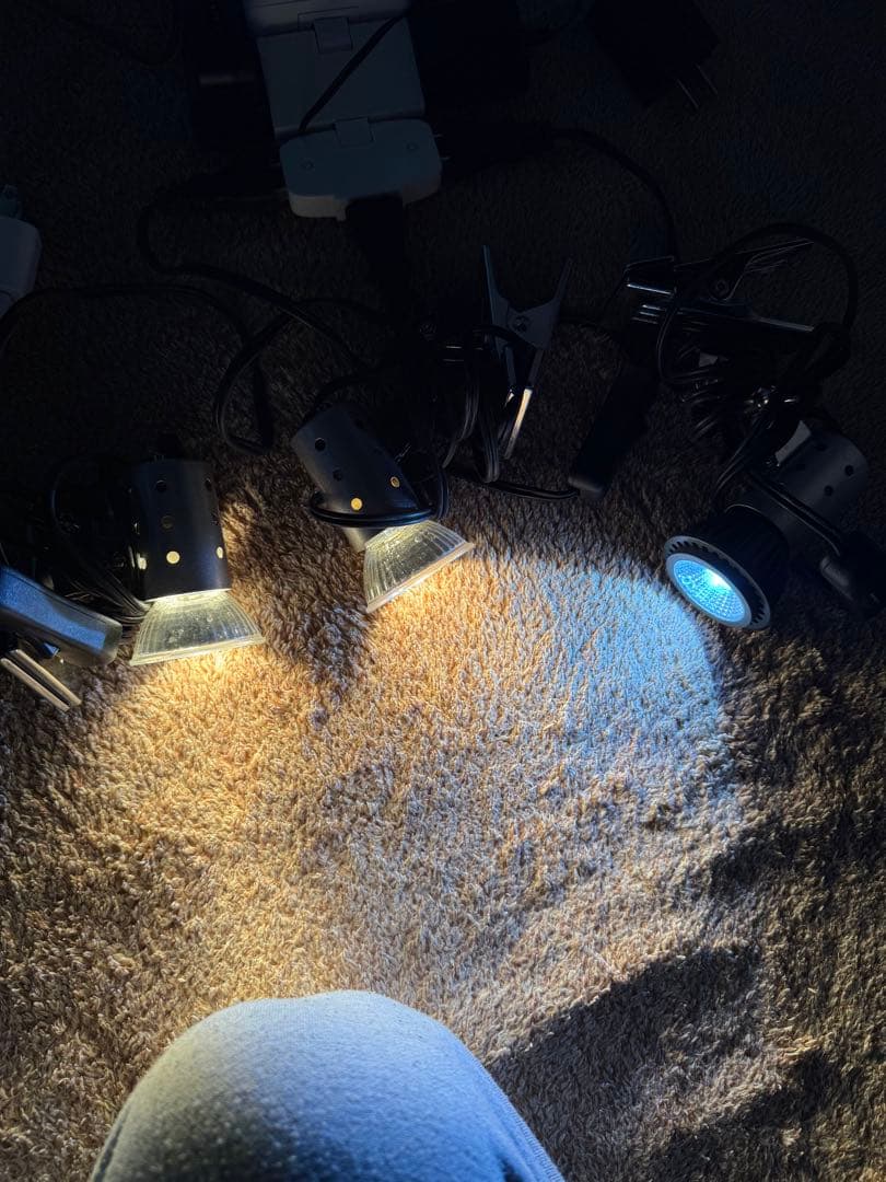 イワカメ　 爬虫類用クリップ式ライトセットまとめ売り