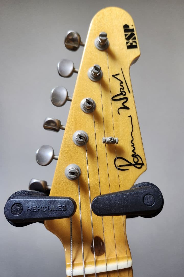 ギター ESP RON WOOD SIGNATURE Telecaster