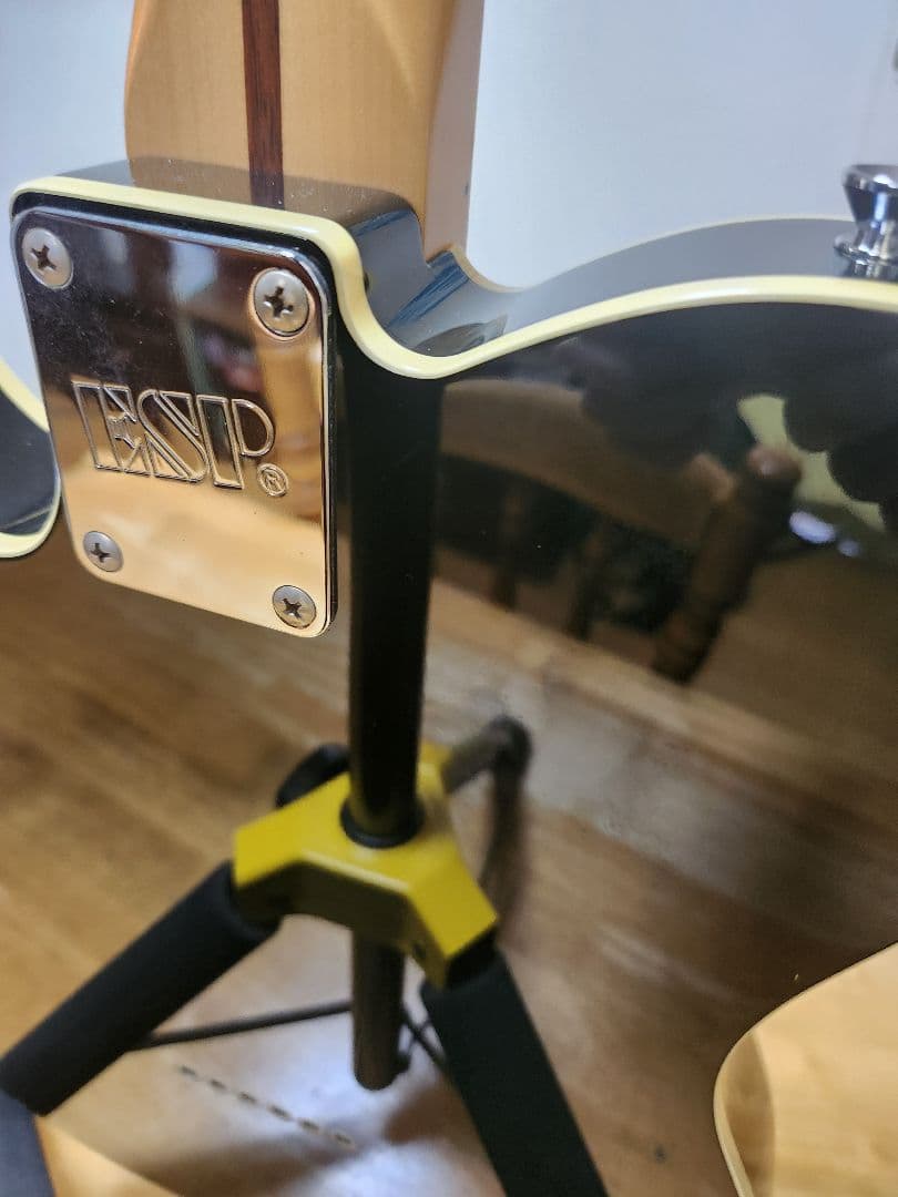 ギター ESP RON WOOD SIGNATURE Telecaster