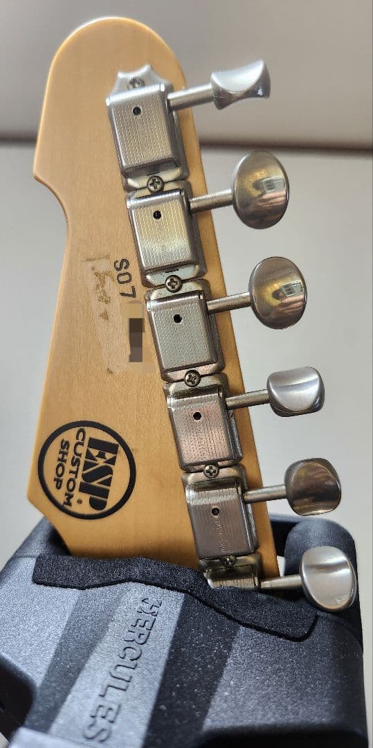 ギター ESP RON WOOD SIGNATURE Telecaster