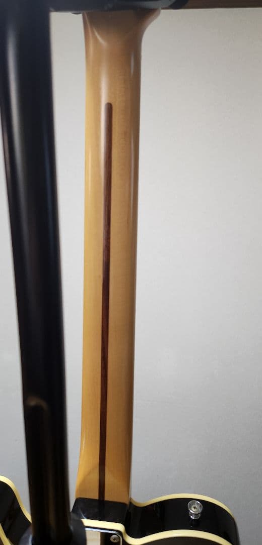 ギター ESP RON WOOD SIGNATURE Telecaster