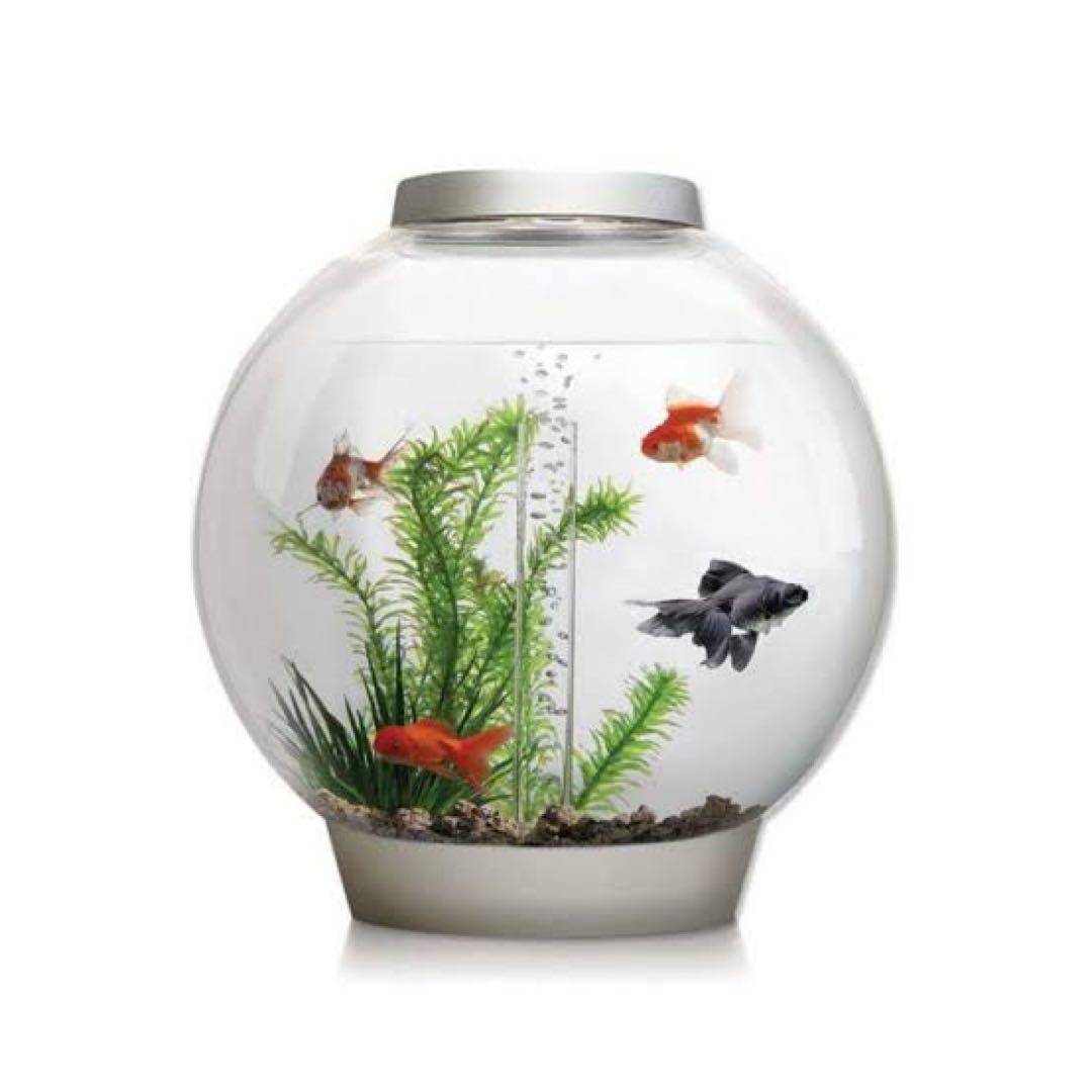 biOrb CLASSIC 30L 水槽 ライト、ヒーター付き