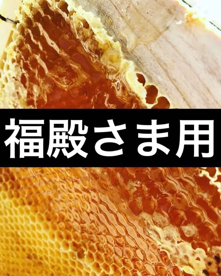 国産　非加熱ハチミツ　250g×6個