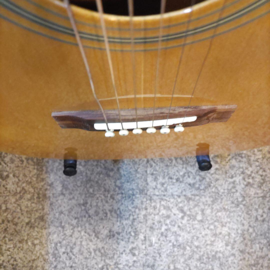 Fender GDP100 (管理テナ)