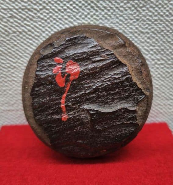 送料込【逢絢亭】茶道具 香合 松皮香合 織部の松を以て 木製 不蔵庵 龍渓 共箱