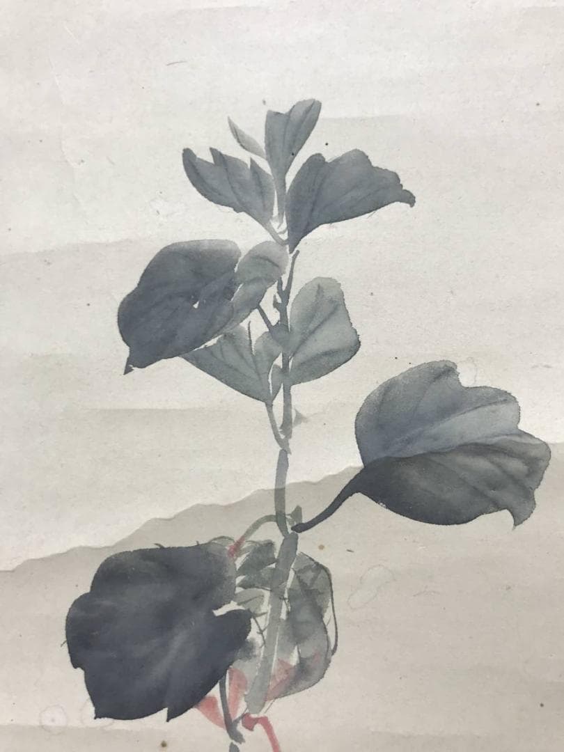 【真作】松村景文/ほおずき図/ホオズキ図/鬼灯図/掛軸/名家伝来/AC-1