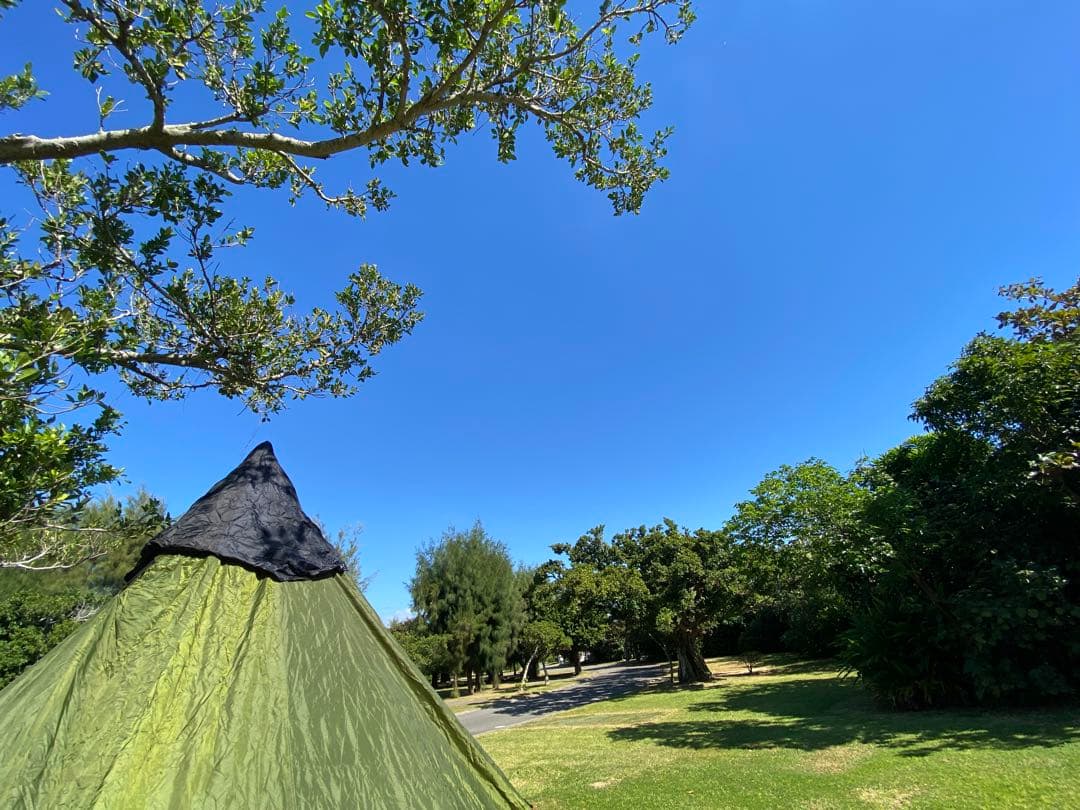 値下げ現状 中古ジャンク ローベンス フィールドステーション