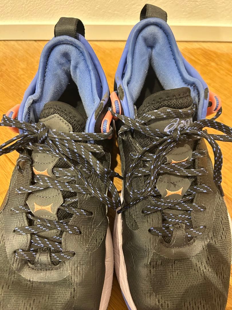 シューズ(男性用) nova surge low