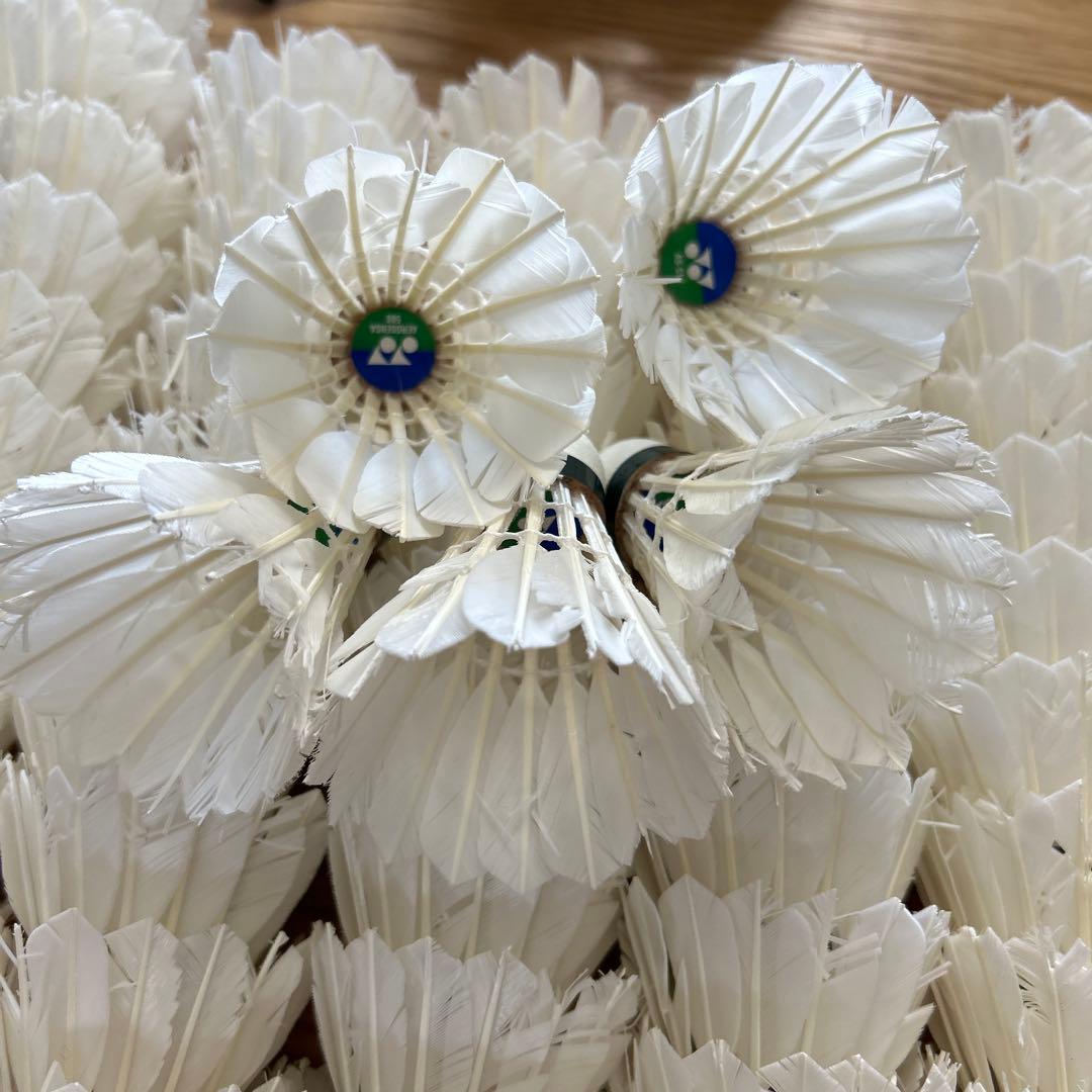 ヨネックス 中古 ノック シャトル