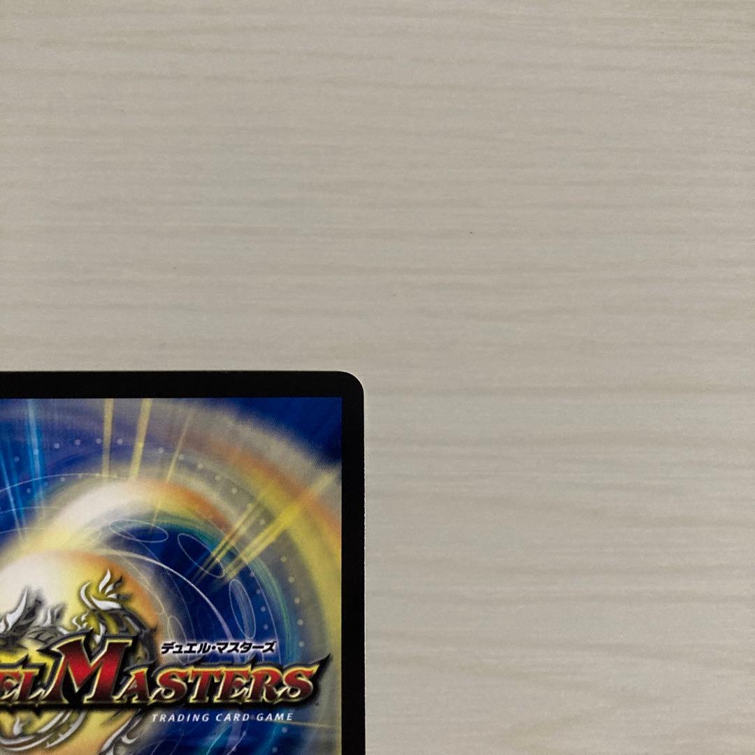 神聖龍 エモーショナル・ハードコア エモーショナルハードコア 金トレジャー